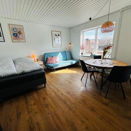 Cozy Flats Silkeborg - 1Th Apartman Kültér fotó