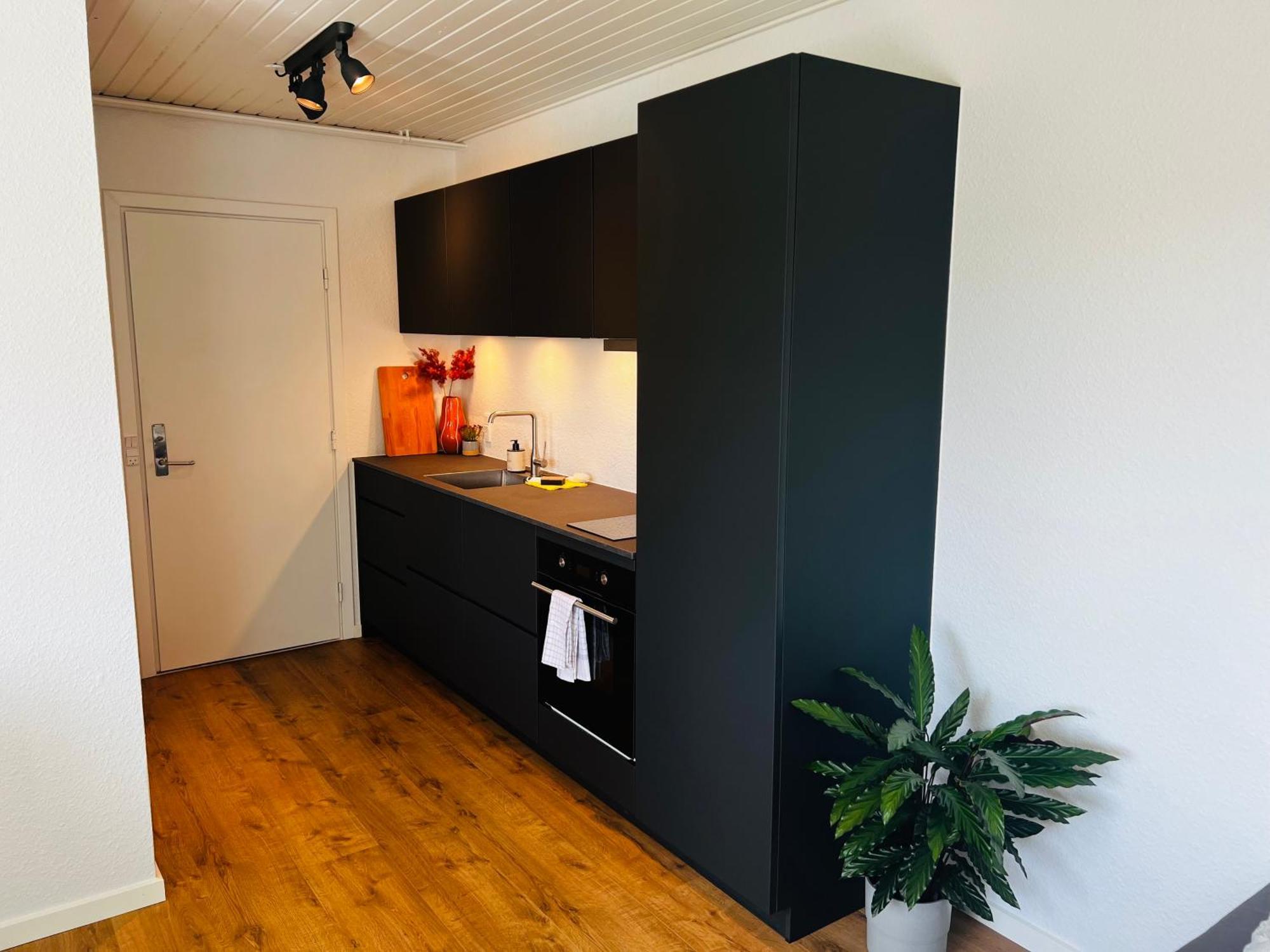 Cozy Flats Silkeborg - 1Th Apartman Kültér fotó